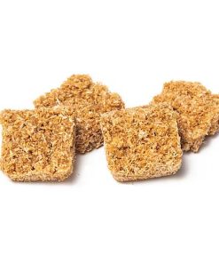 Fire Starters - View 2